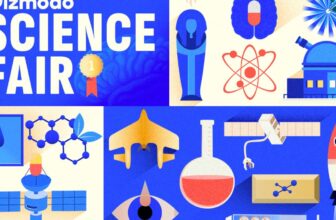 The Winners of the 2025 Gizmodo Science Fair