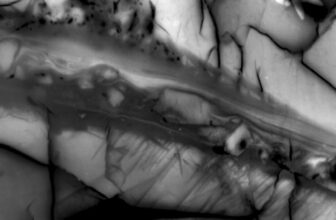 Around 90% of an Earthquake’s Energy Doesn’t Do What You Think It Does