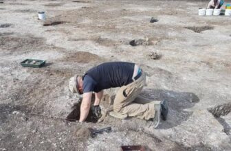 Bronze Age Britons Threw Massive Ragers With Food and Friends From Far Away