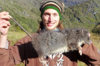 ‘Lost’ for 30 Years, This Giant Woolly Rat Just Showed Up in the Wild