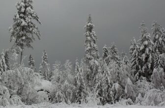 See What’s in Store for Your State