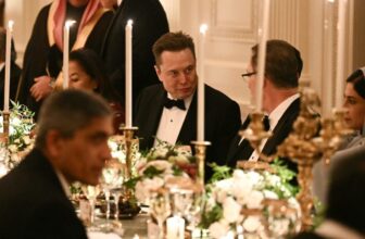 Trump Lovingly Pats Elon Musk on Stomach During Dinner at White House