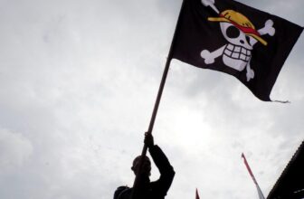 What the One Piece Flag Is Doing in Mexico During Protests
