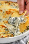 12 Best Party Appetizer Dips