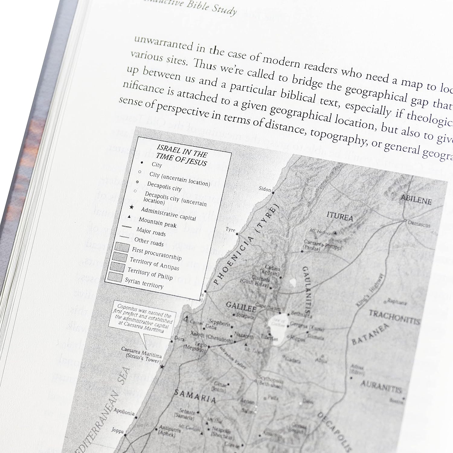 Inductive Bible Study: Observation, Interpretation, and Application through the Lenses of History, Literature, and Theology - Image 7