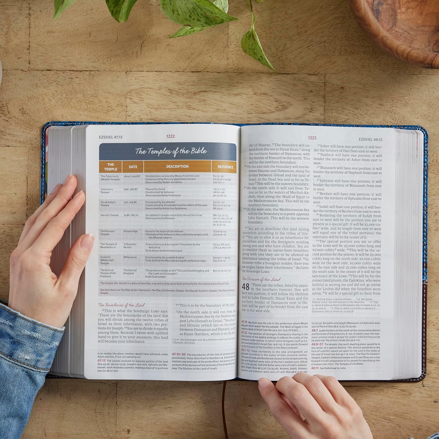 NIV, The Woman's Study Bible, Hardcover, Full-Color, Red Letter: Receiving God's Truth for Balance, Hope, and Transformation - Image 8