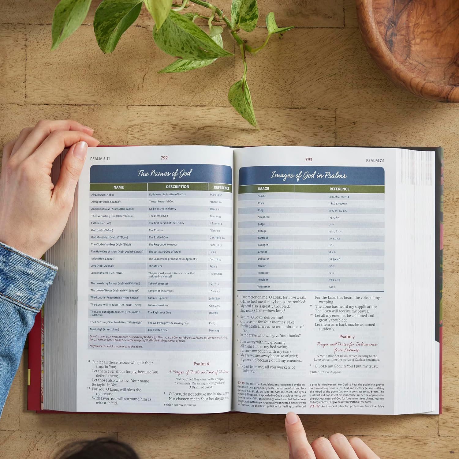 NKJV, The Woman's Study Bible, Hardcover, Red Letter, Full-Color Edition: Receiving God's Truth for Balance, Hope, and Transformation - Image 9