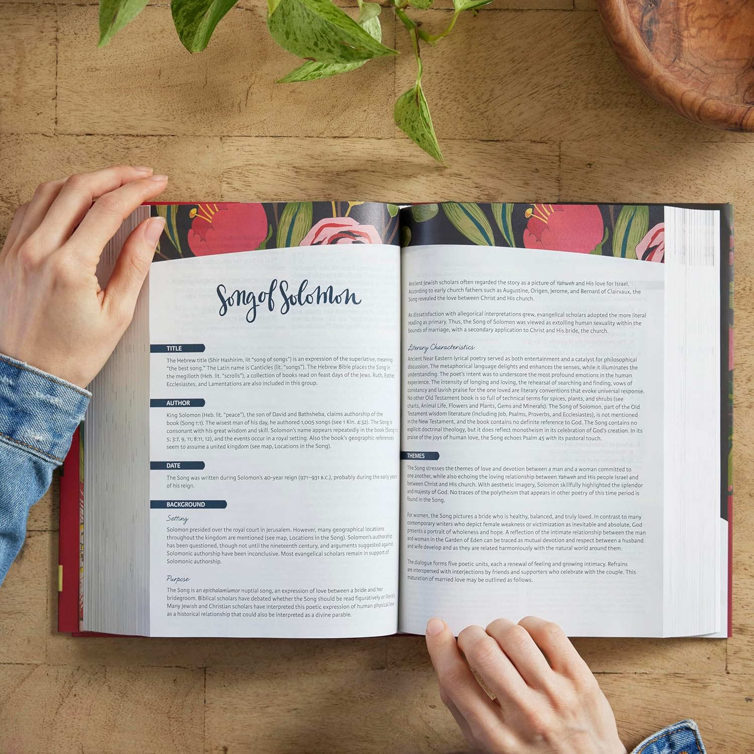 NKJV, The Woman's Study Bible, Hardcover, Red Letter, Full-Color Edition: Receiving God's Truth for Balance, Hope, and Transformation - Image 8