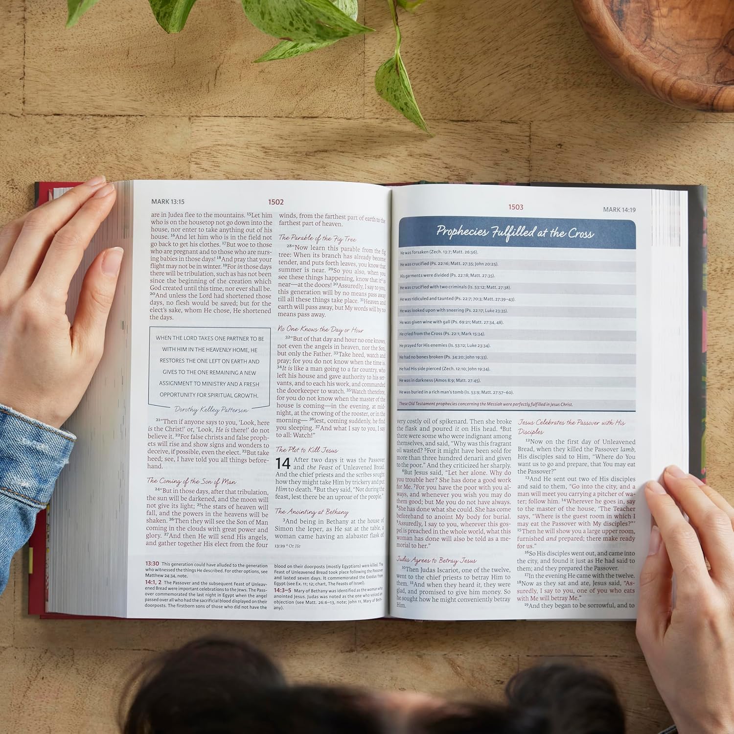 NKJV, The Woman's Study Bible, Hardcover, Red Letter, Full-Color Edition: Receiving God's Truth for Balance, Hope, and Transformation - Image 7