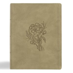 KJV Notetaking Bible, Large Print E...