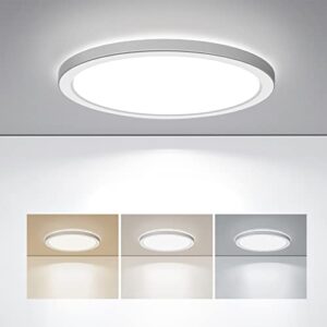 BLNAN LED Flush Mount Ceiling Light...