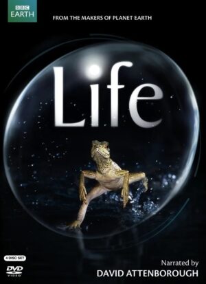 Life DVD