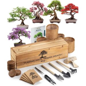 DIY Bonsai Tree Kit for Beginners &...