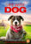 Life with Dog DVD