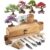 DIY Bonsai Tree Kit for Beginners – 5X Unique Japanese Bonsai Trees | Complete Indoor Bonsai Starter Kit with Tools & Planters