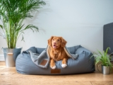 Helpful Pet Products That Keep Your Pets Comfortable and Happy